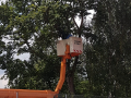 IMG-20210710-WA0004