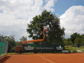 IMG-20210710-WA0009