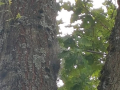 IMG-20210710-WA0016