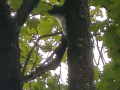 IMG-20210710-WA0019