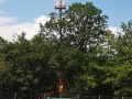 IMG-20210710-WA0021