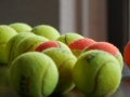 5_Ballgefluester