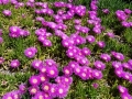 20170429_143603