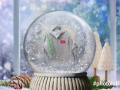 IMG-20161211-WA0002